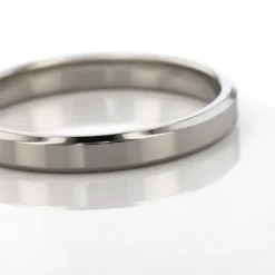 Alliance Aristote Ruban Plat Palladium Blanc