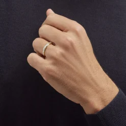 Alliance Cesarius Ruban Plat Or Bicolore