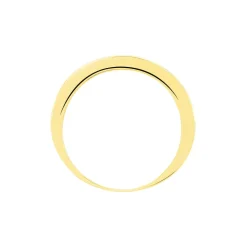 Alliance Davila Or Jaune Oxyde De Zirconium