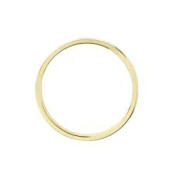 Alliance Hevan Ruban Or Bicolore