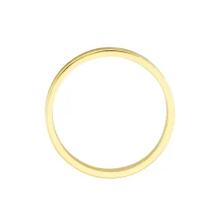 Alliance Hevan Ruban Or Bicolore