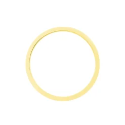 Alliance Madin Ruban Plat Or Bicolore