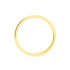 Alliance Raphie Ruban Plat Or Bicolore