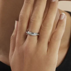 Alliance Tournesol Or Blanc