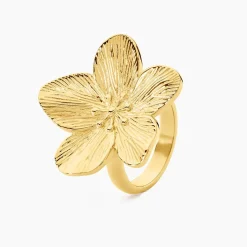 Bague Barbade Acier Jaune