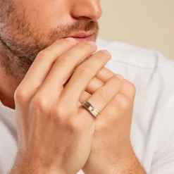 Bague Robinson Argent Bicolore Rhodié Diamant Blanc