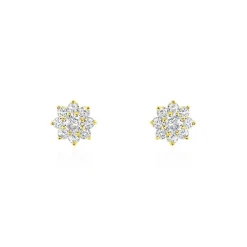 Boucles D'oreilles Or Jaune Eleanor Oxydes