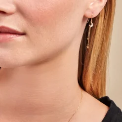 Boucles D'oreilles Pendantes Stellar Or Jaune Oxyde De Zirconium