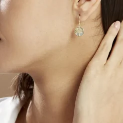 Boucles D'oreilles Pendantes Noamie Or Jaune Nacre