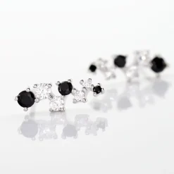 Boucles D'oreilles Pendantes Gaya Argent Blanc Oxyde De Zirconium