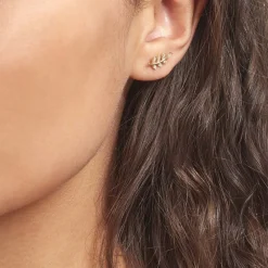 Boucles D'oreilles Puces Ael Or Jaune Oxyde De Zirconium