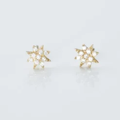 Boucles D'oreilles Puces Aubepine Or Jaune Oxyde