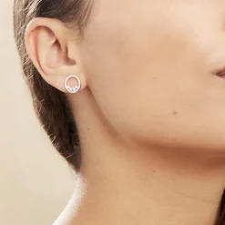 Boucles D'oreilles Puces Argent Blanc Ursine Oxydes De Zirconium