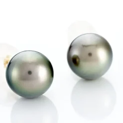 Boucles D'oreilles Puces Alper Or Jaune Perle De Culture De Tahiti