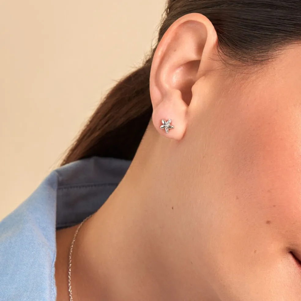 Boucles D'oreilles Puces Darline Argent Blanc Oxyde De Zirconium