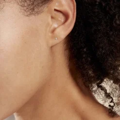 Boucles D'oreilles Puces Eddie Or Blanc Oxyde De Zirconium