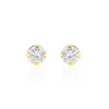 Boucles D'oreilles Puces Eddie Or Jaune Oxyde De Zirconium