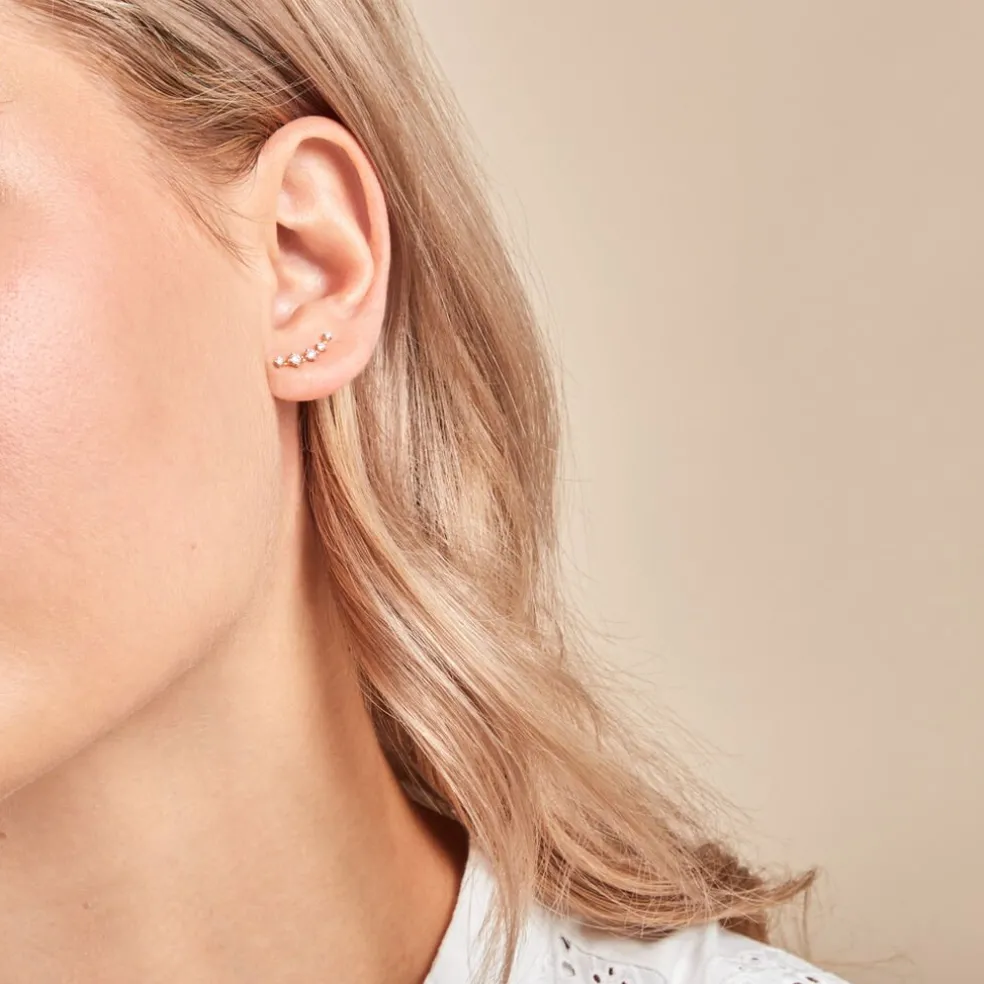 Boucles D'oreilles Puces Nichole Or Jaune Diamant Synthétique