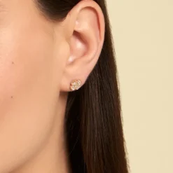 Boucles D'oreilles Puces Rhosyn Plaqué Or Jaune Oxyde