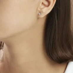 Boucles D'oreilles Puces Victoria Platine Blanc Diamant