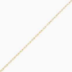 Chaine Or Jaune Stevia