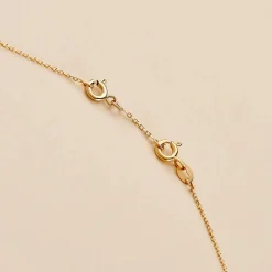 Chainette De Rallonge  Or Jaune