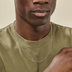 Chaîne Ilan Maille Forçat Ronde Or Blanc