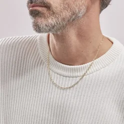 Chaîne Mayson Or Jaune Maille Cheval