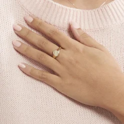 Chevalière Gregoire Plaqué Or Jaune