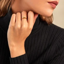 Chevalière Griffin Or Jaune