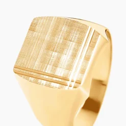 Chevalière Jackson Or Jaune