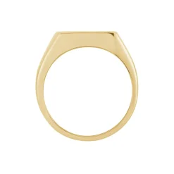 Chevalière Kauai Plaqué Or Jaune Pierre De Synthese