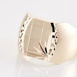 Chevalière Leoncette Plaqué Or Jaune