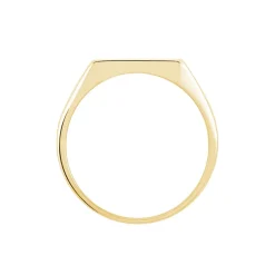 Chevalière Lionel Plaqué Or Jaune