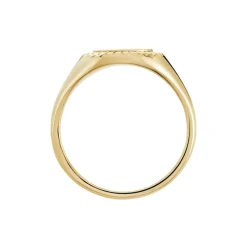 Chevalière Plaqué Or Jaune Louie