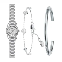 Coffret De Montre Michael Kors Micro Lexington Argenté