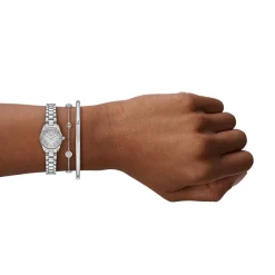 Coffret De Montre Michael Kors Micro Lexington Argenté