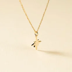 Collier Alisee Plaqué Or Jaune