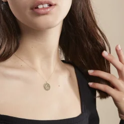 Collier Cobeia Maille Forcat Or Jaune