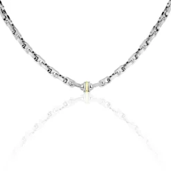 Collier Leandreae Or Acier Bicolore