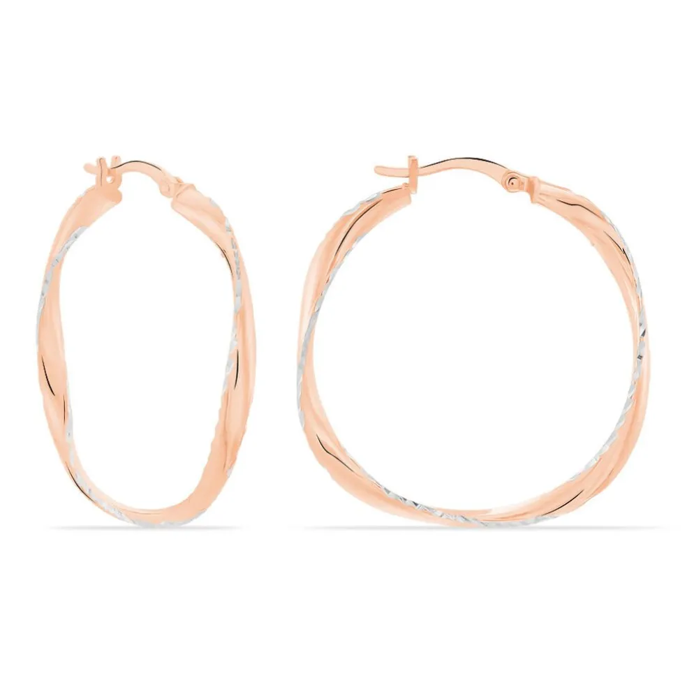 Créoles Argent Rose Alieno