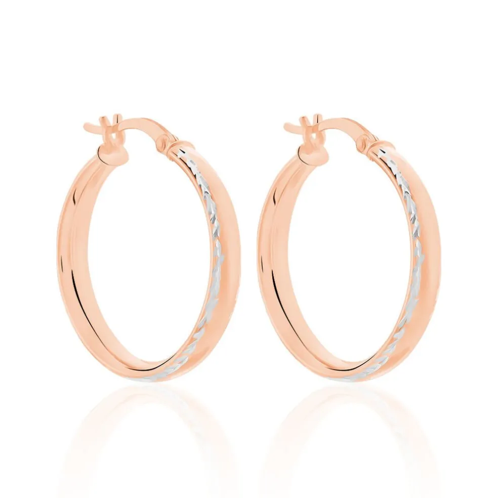 Créoles Argent Rose Ava