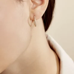 Créoles Karolina Rondes Plaqué Or Jaune Oxyde De Zirconium