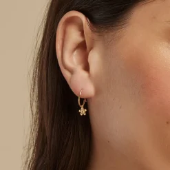 Créoles Rorie Or Jaune