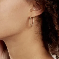 Créoles Ulrica Or Jaune