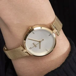 Montre Boss Majesty Argenté