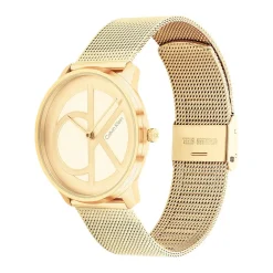 Montre Calvin Klein Iconic Mesh Champagne