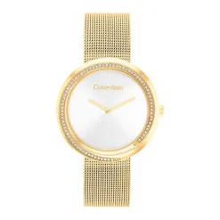 Montre Calvin Klein Twist Argenté