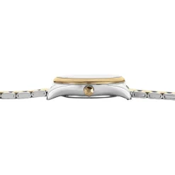 Montre Cluse Feroce Mini Argenté