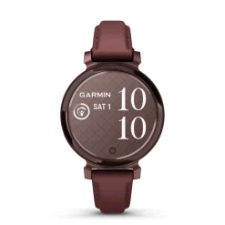 Montre Connectée Garmin Lily 2 Marron